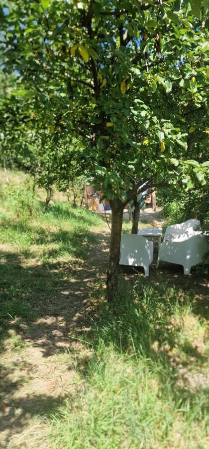 Casageo Cheile Nerei Villa Sokolar Buitenkant foto