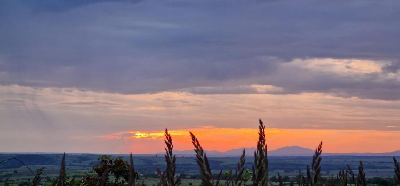 Casageo Cheile Nerei Villa Sokolar Buitenkant foto