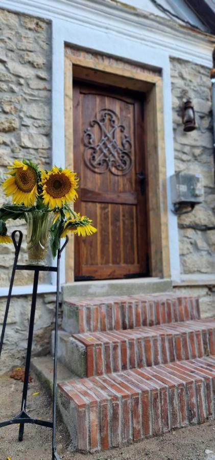 Casageo Cheile Nerei Villa Sokolar Buitenkant foto